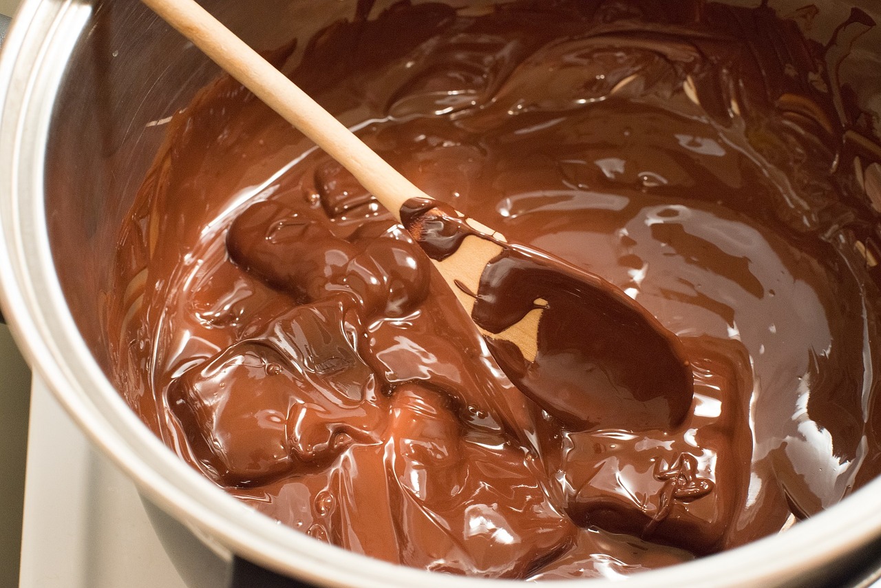 chocolate melted bowl free photo