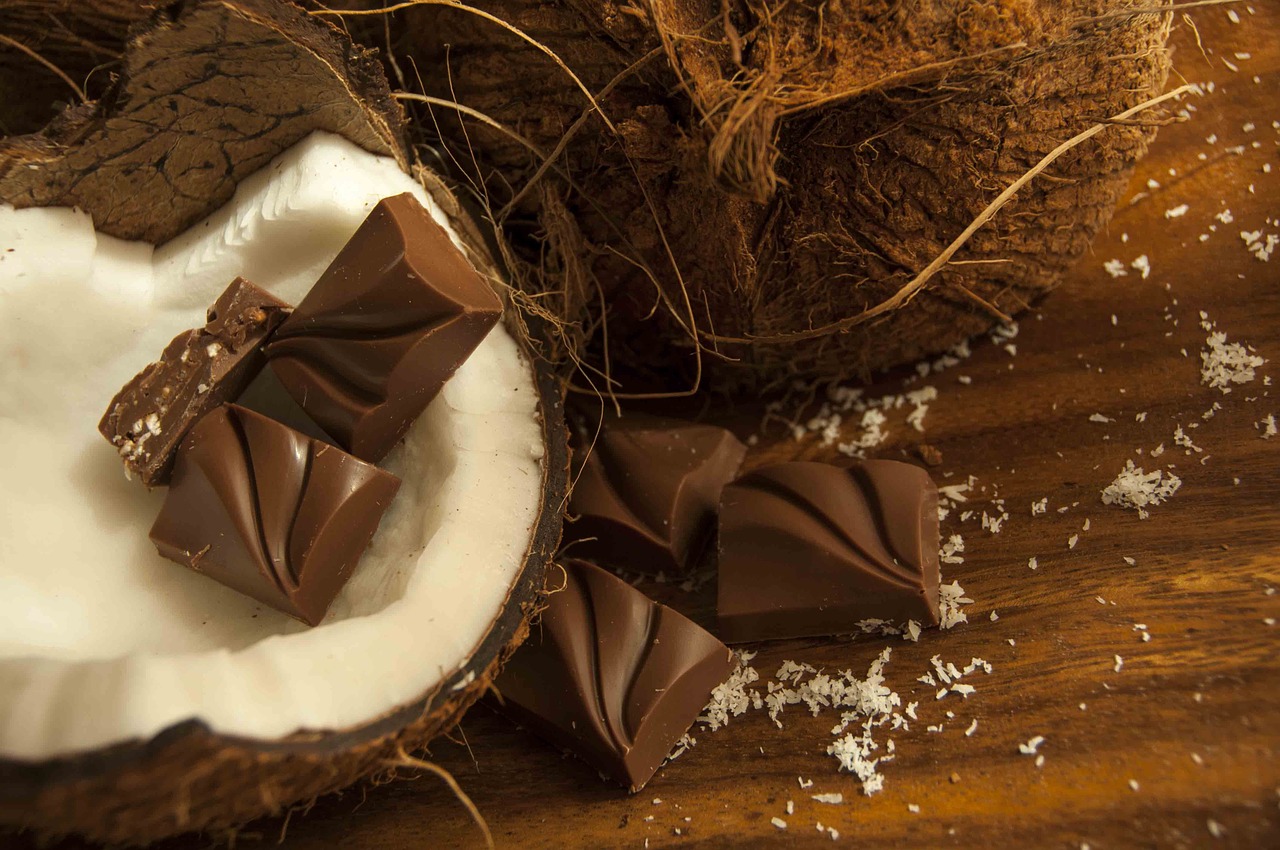 chocolate coconut dessert free photo