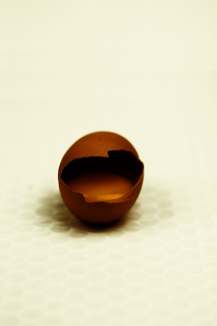 chocolate egg candy free photo