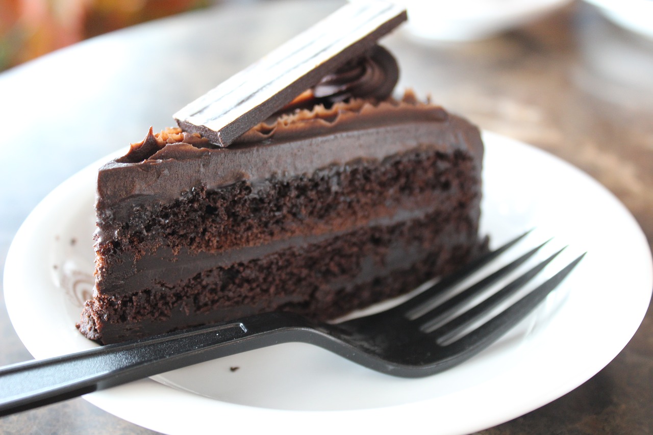chocolate cake rich free photo
