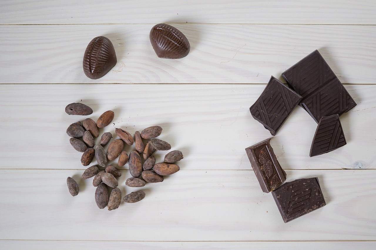 chocolate cocoa beans cocoa free photo