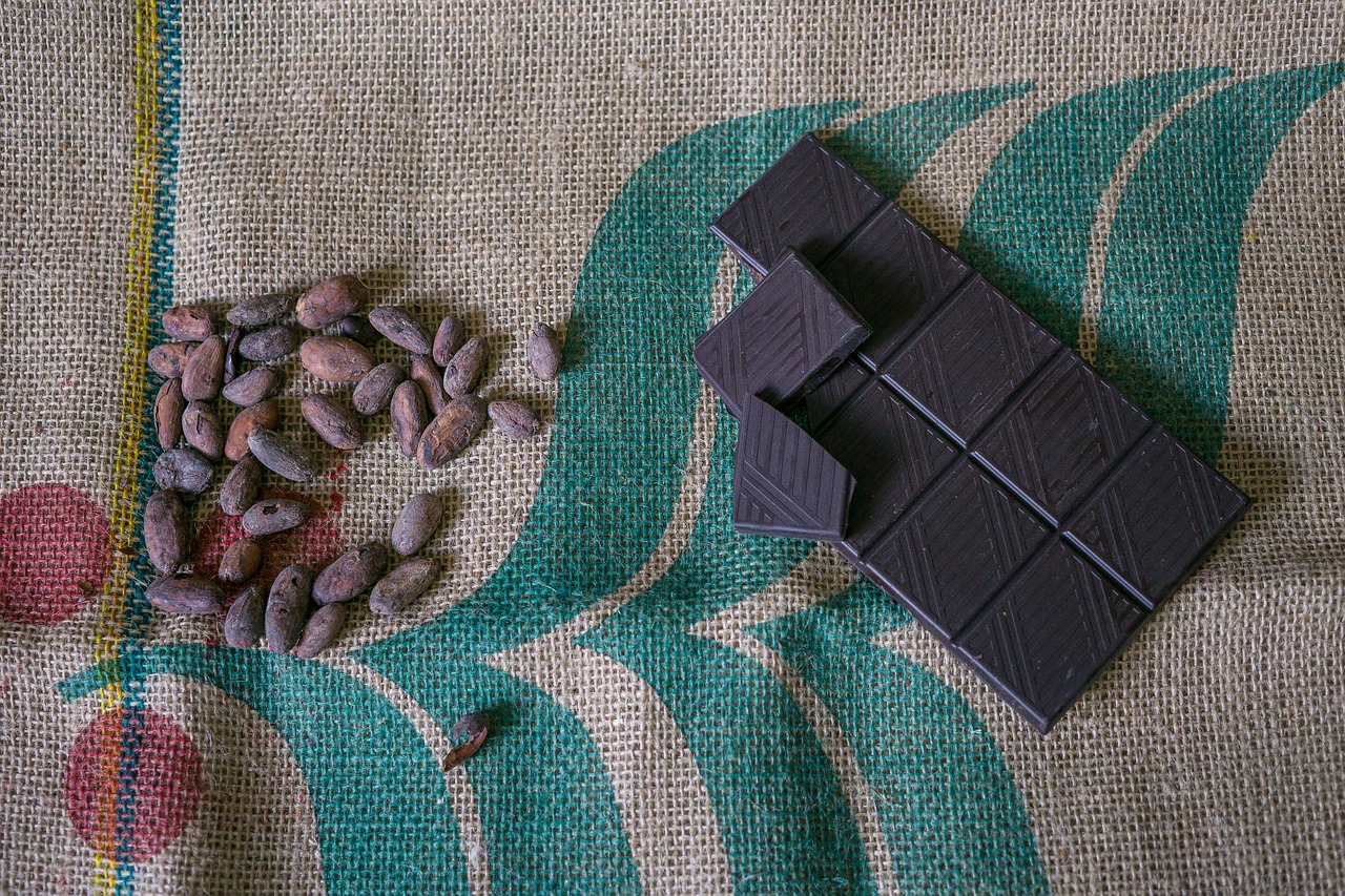 chocolate cocoa beans cocoa free photo