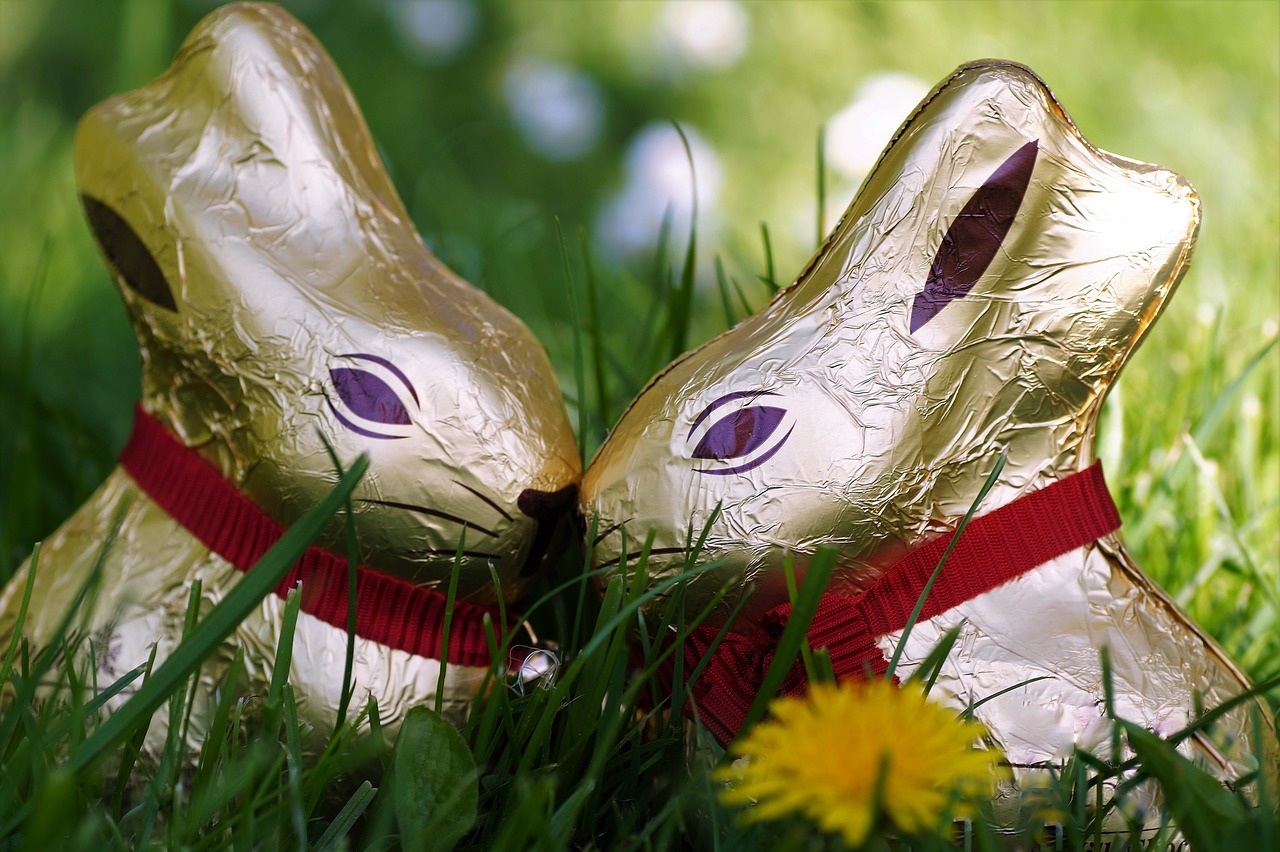 chocolate  bunny girl  easter free photo
