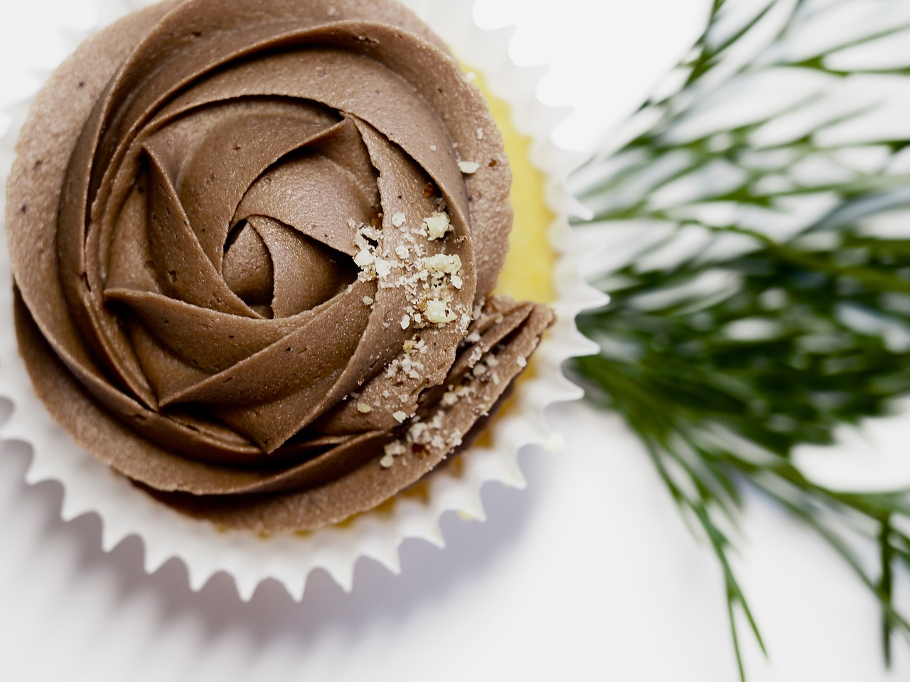 chocolate  cake  cupcake free photo