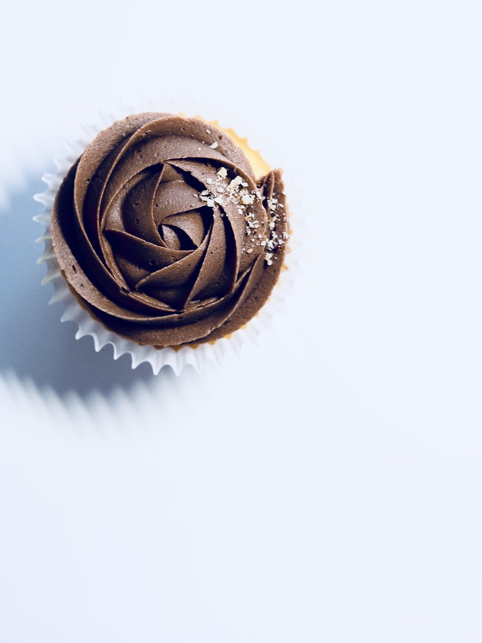 chocolate  cake  cupcake free photo