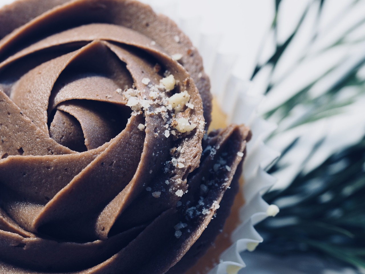 chocolate  cake  cupcake free photo