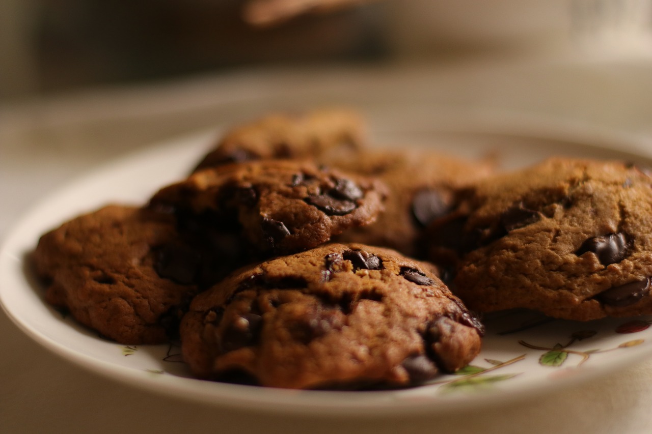 chocolate  cookie  delicious free photo