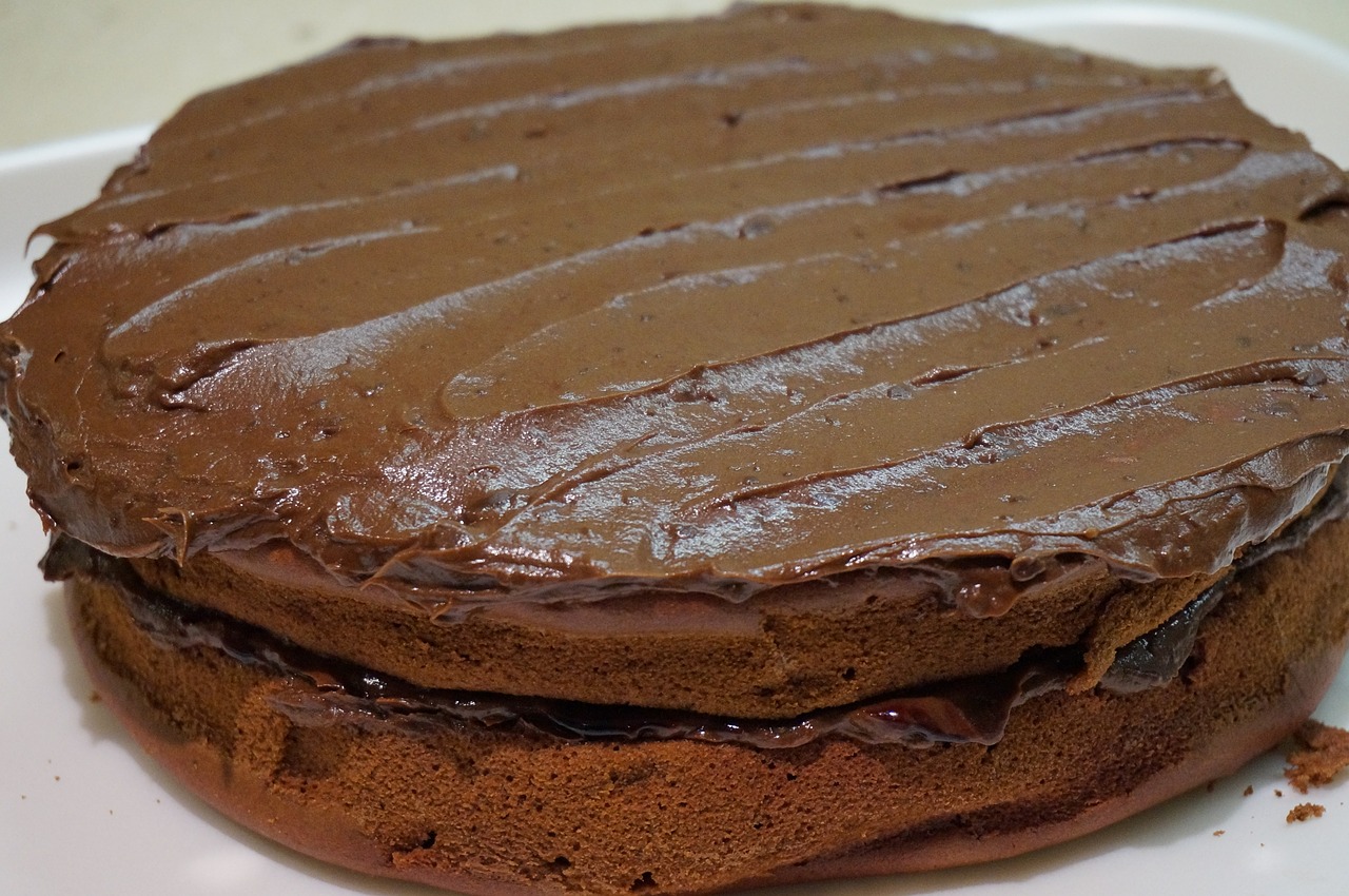 chocolate cake home-made free photo