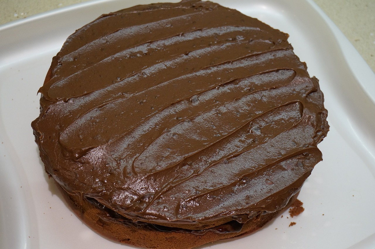 chocolate cake home-made free photo