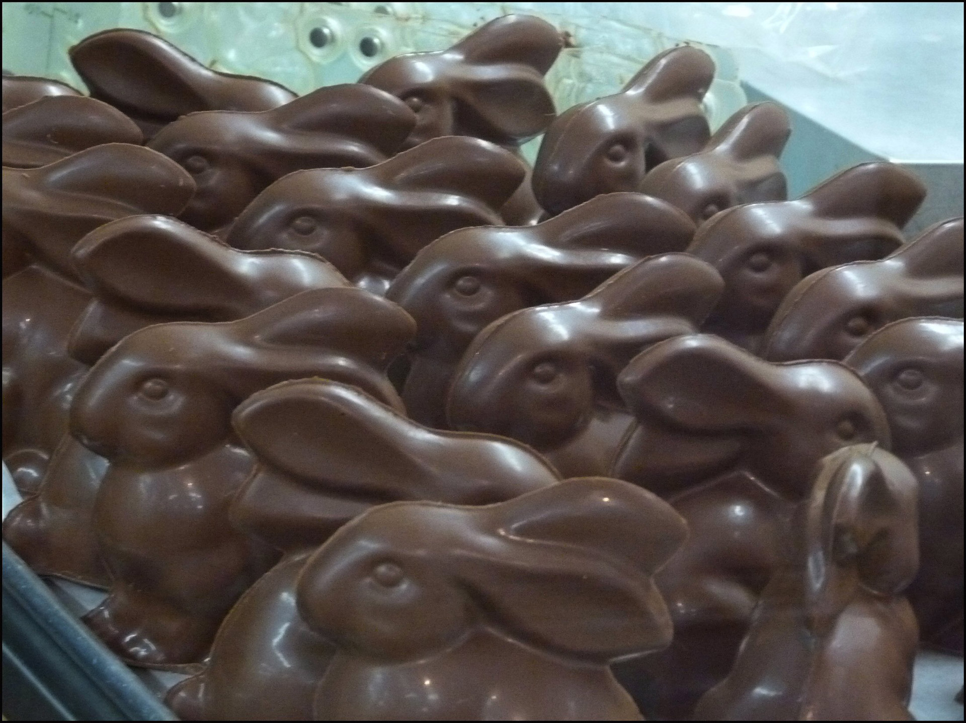 chocolate easter bunny sweets free photo