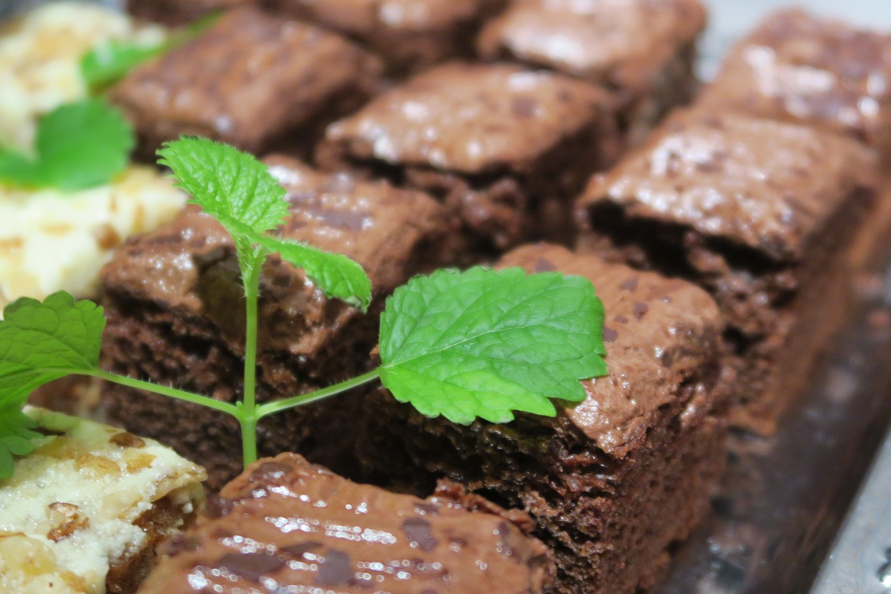 chocolate cake chocolate cookies free photo