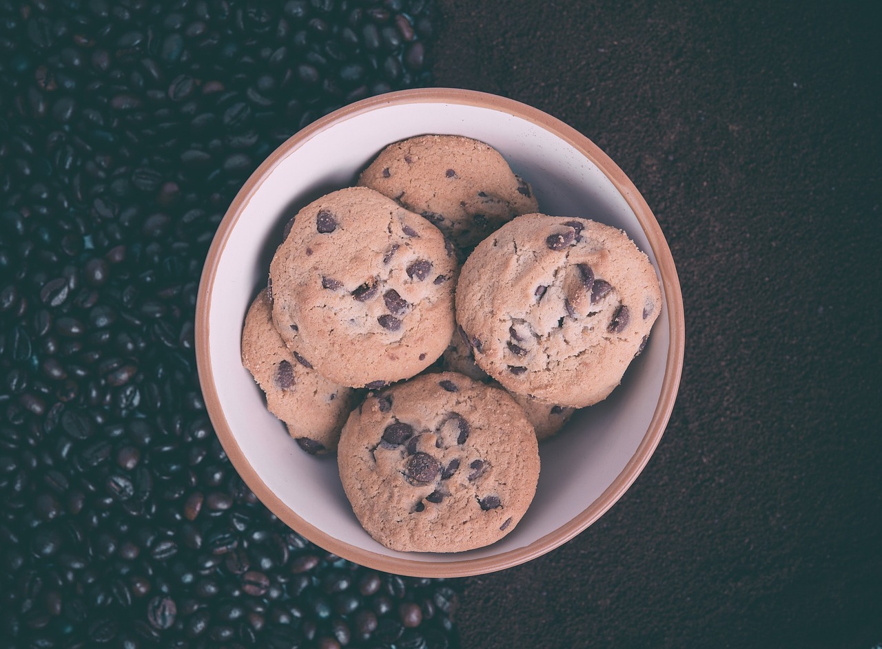 chocolate chip cookies bowl free photo