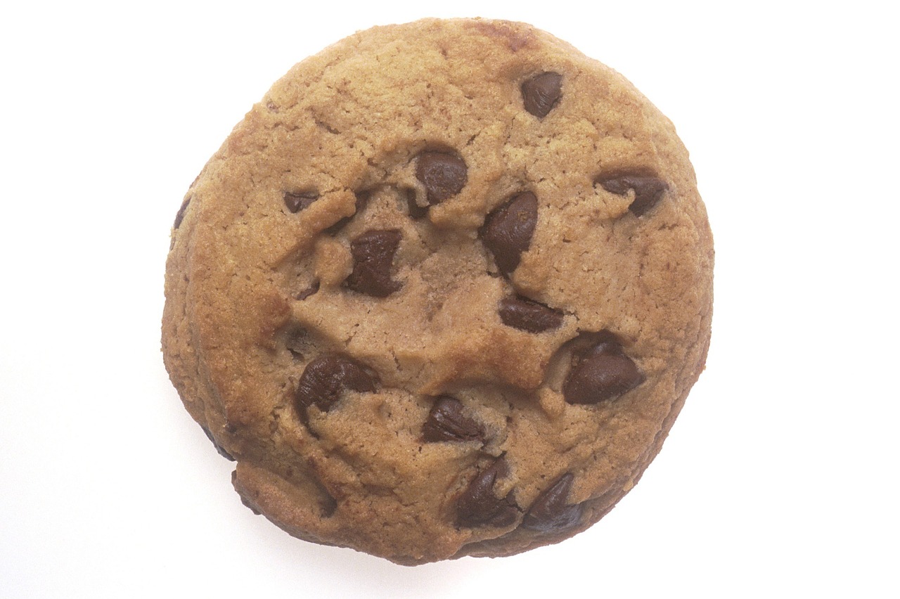 chocolate chip cookie snack sweet free photo