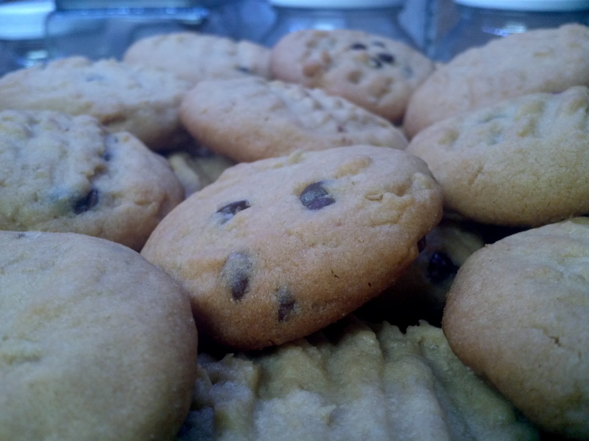 chocolate cookies baking free photo