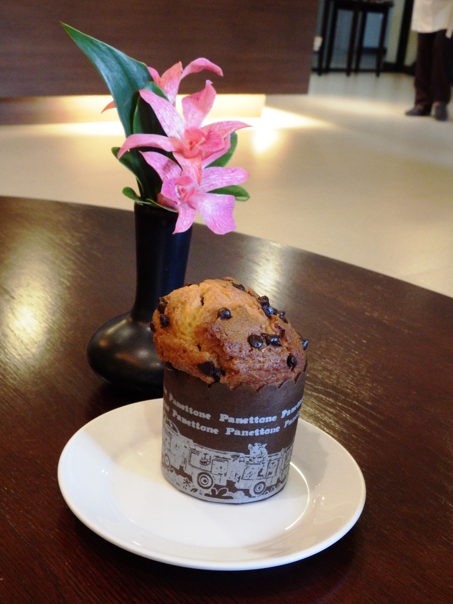 muffin chocolate chip free photo