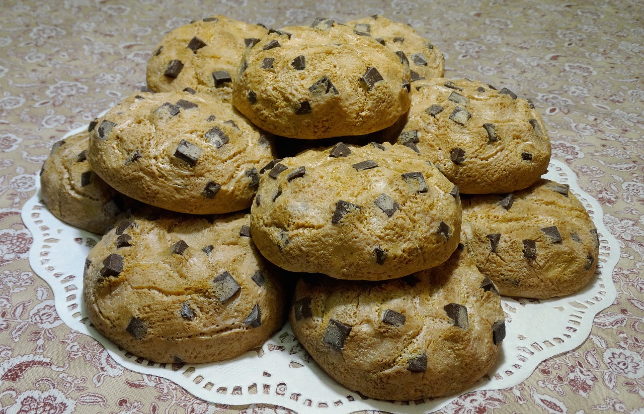 chocolate chunk cookies  soap cookies  soap sclupture free photo