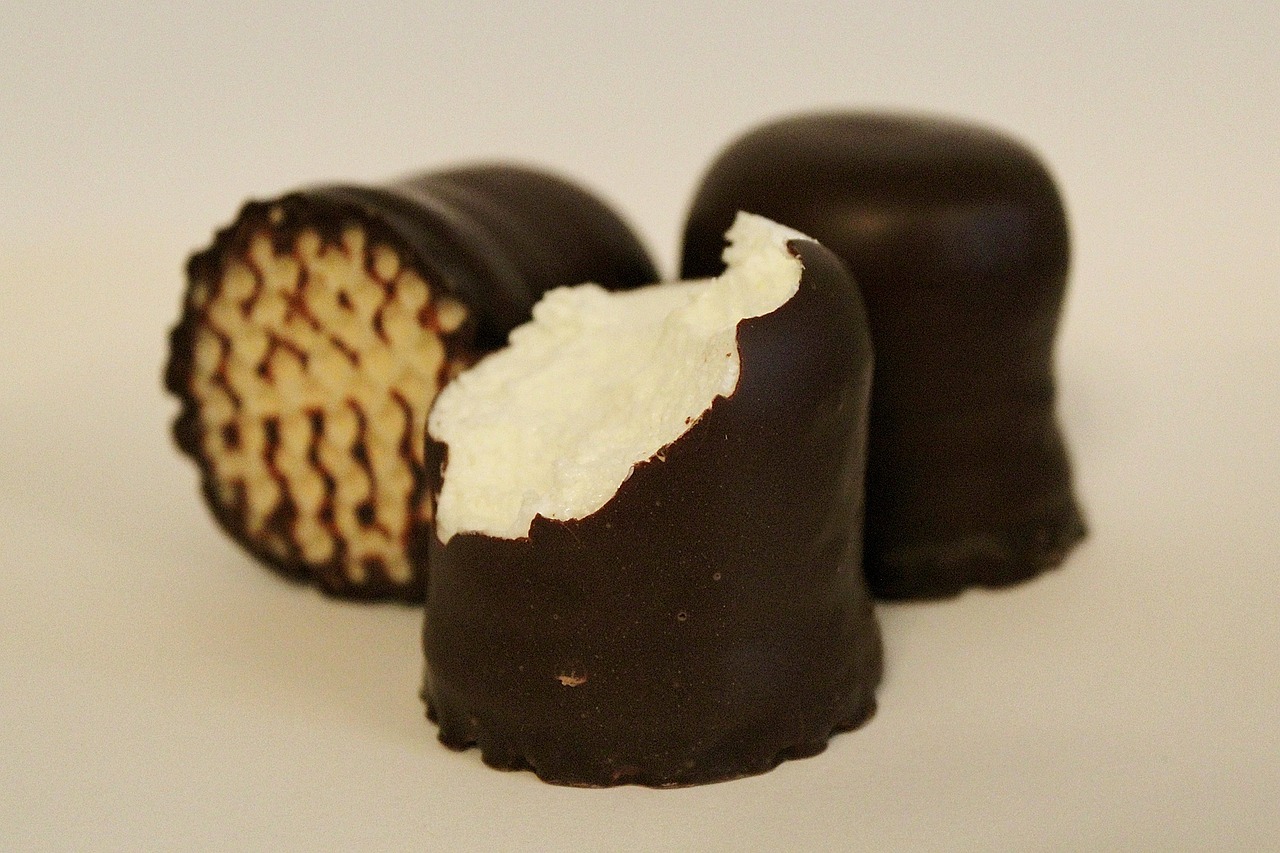 chocolate marshmallow s'more mohrenkopf free photo