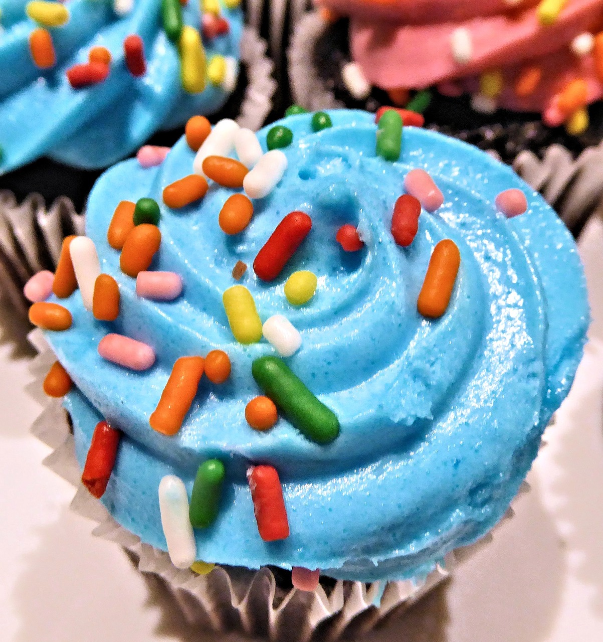chocolate mini cupcake blue frosting sprinkles free photo
