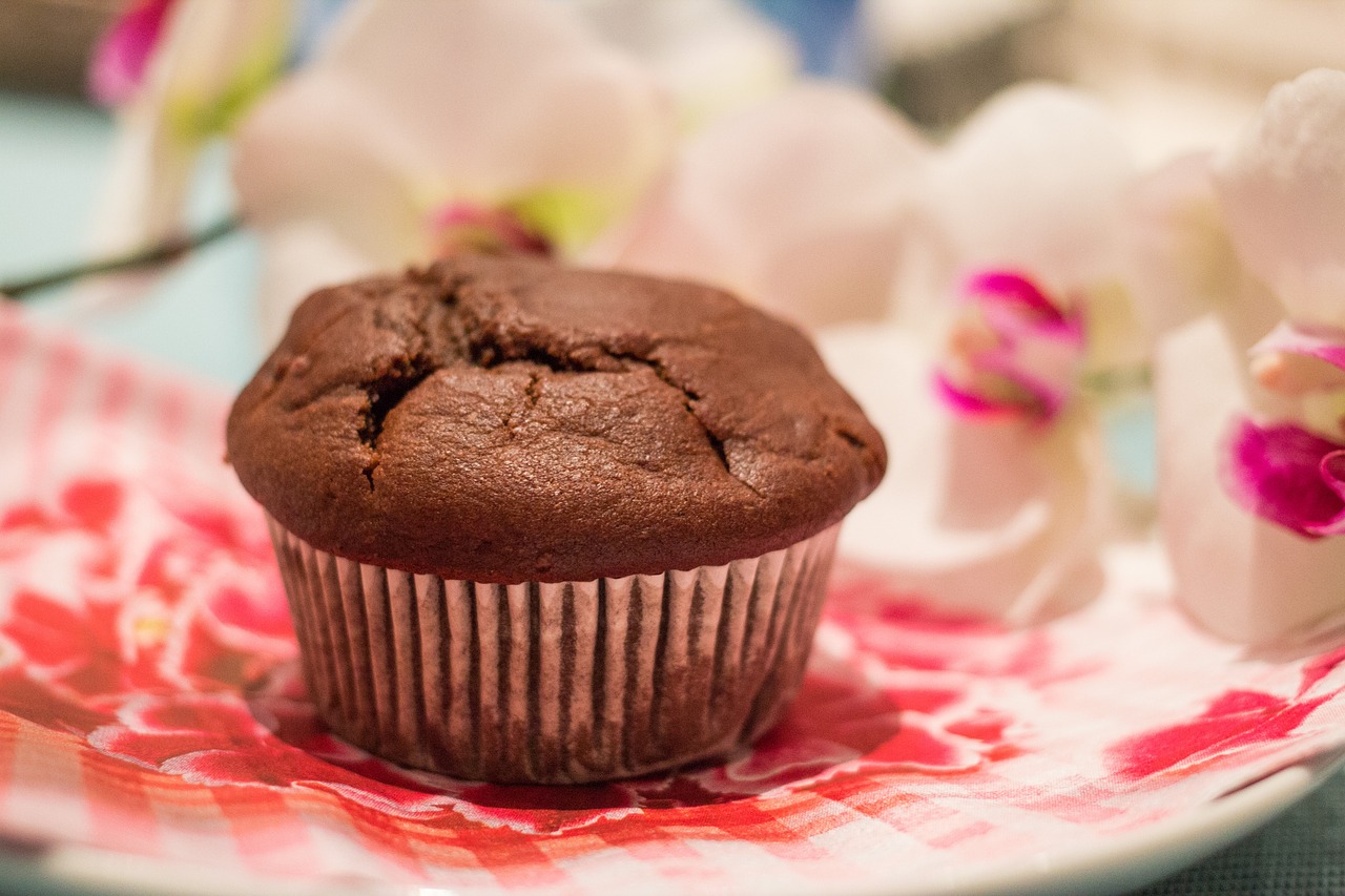 chocolate muffin saje muffin free photo