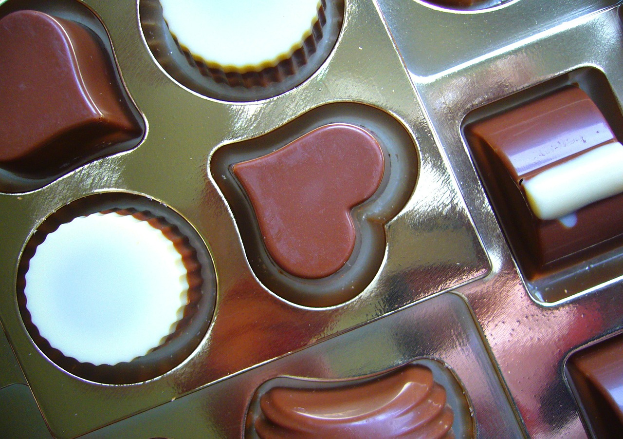 chocolates chocolate sweets free photo