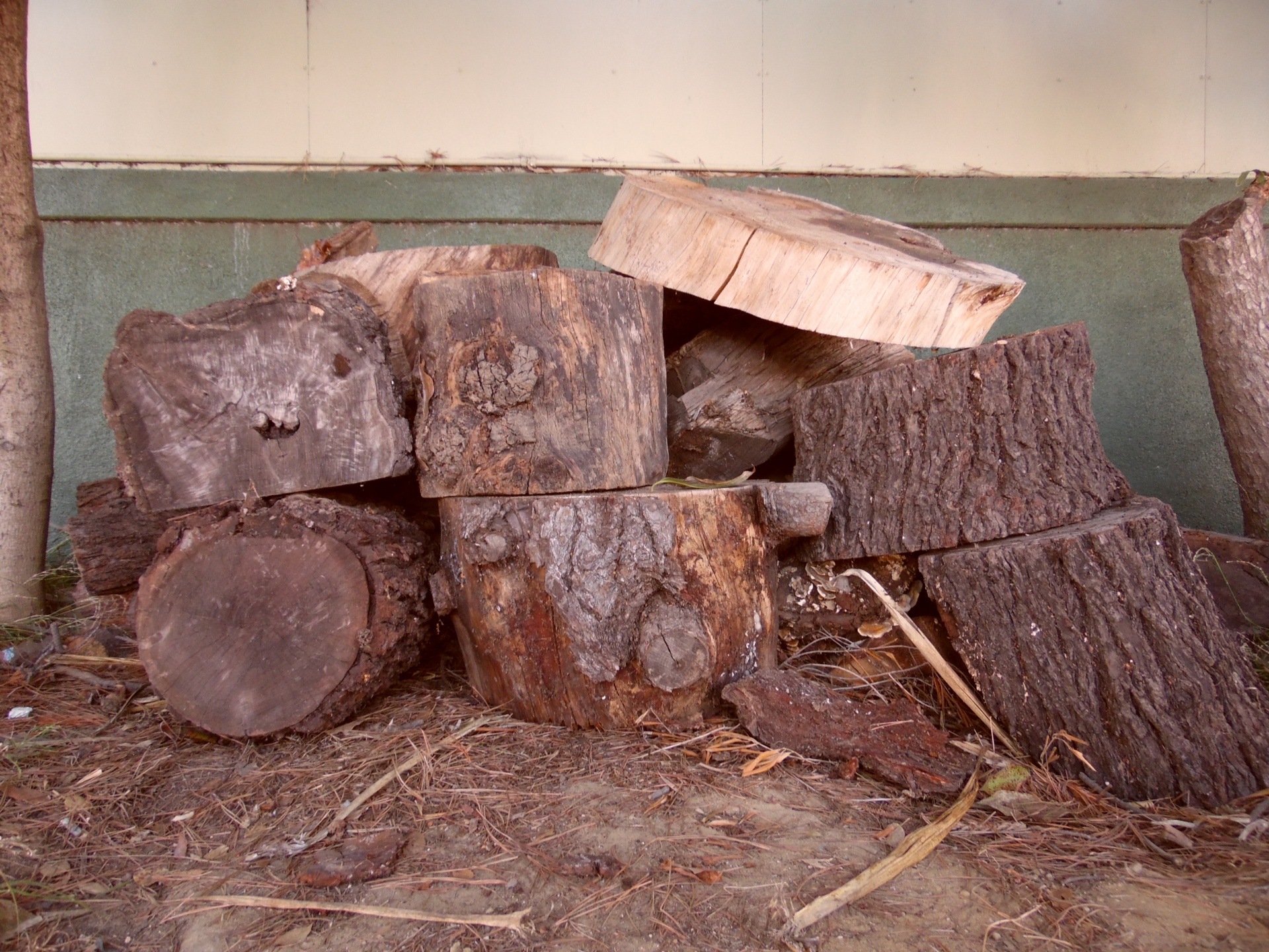 logs chopped logs lumber free photo