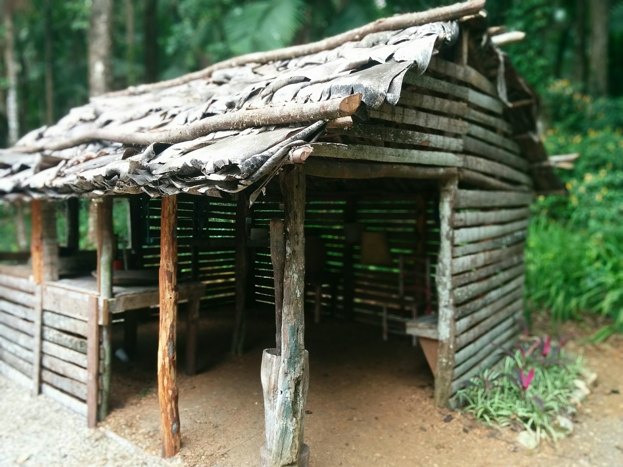 choza cabin hut free photo
