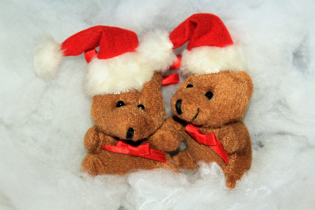 christmas christmas bear snow free photo