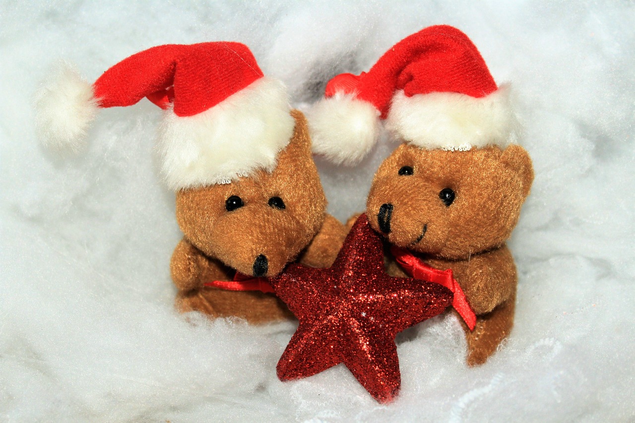 christmas christmas bear snow free photo