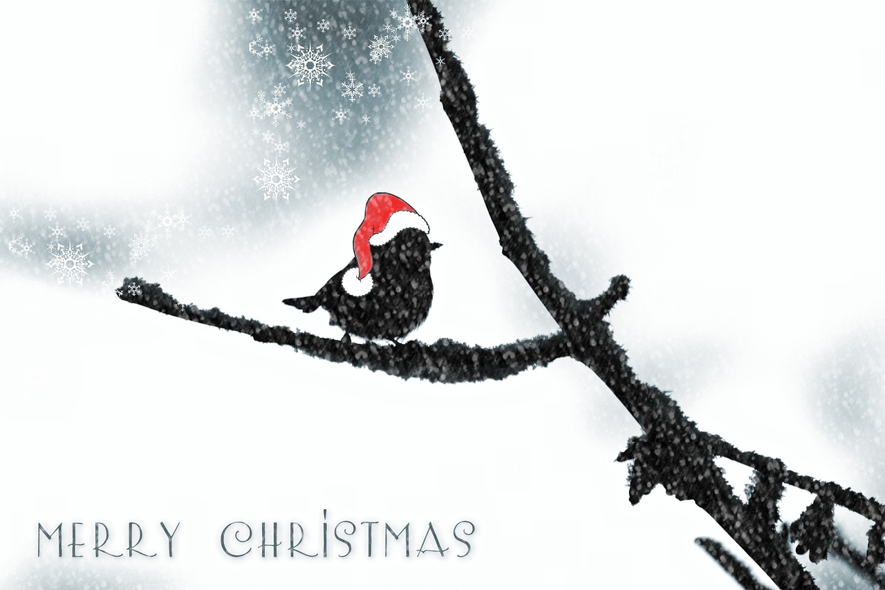 christmas christmas card christmas greeting free photo