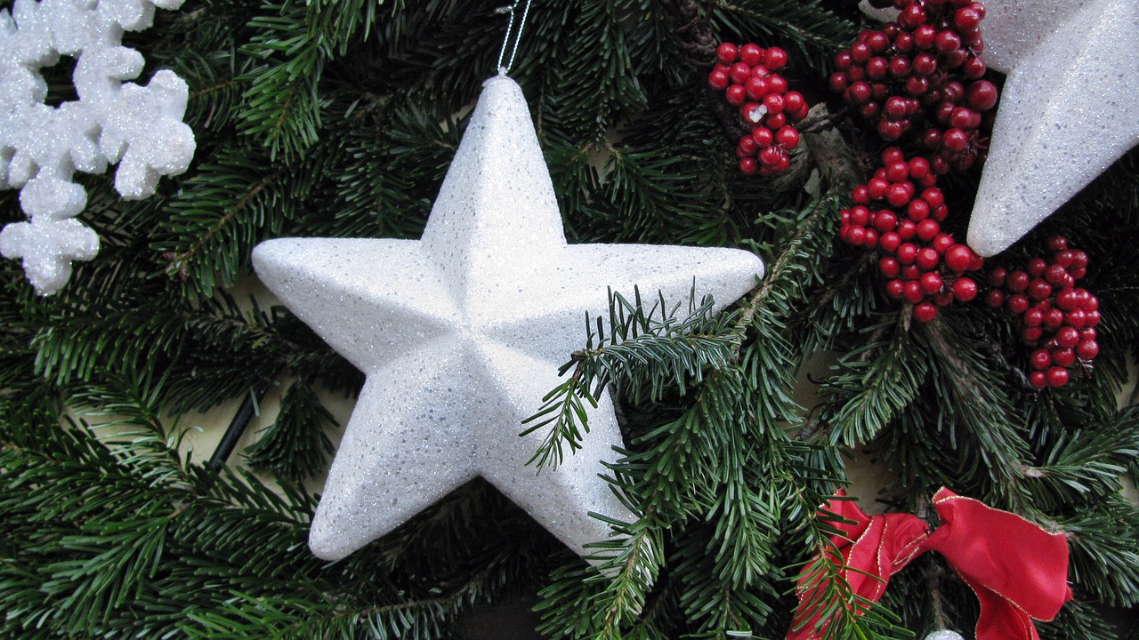 christmas advent star free photo