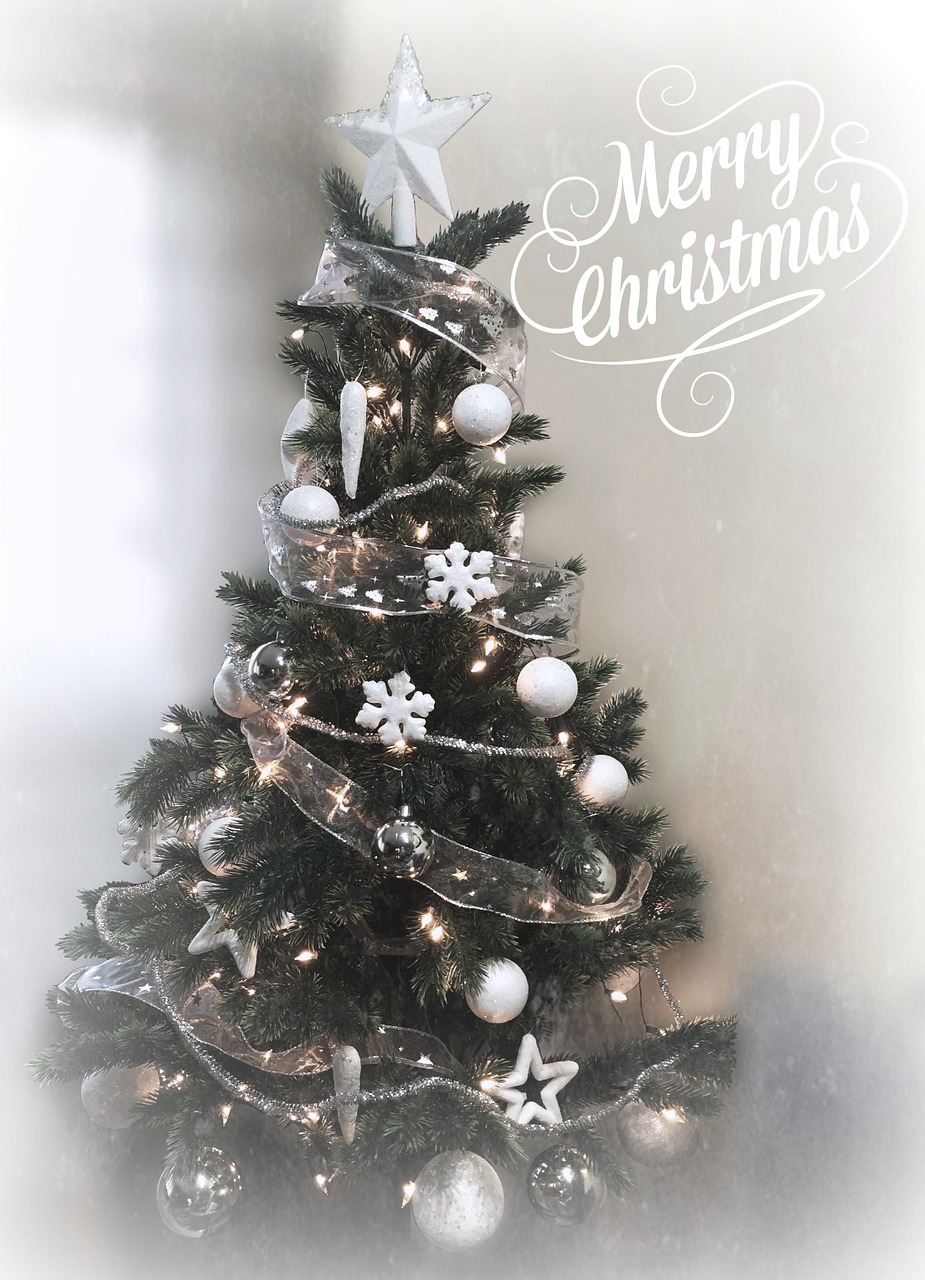 christmas christmas tree wishes free photo