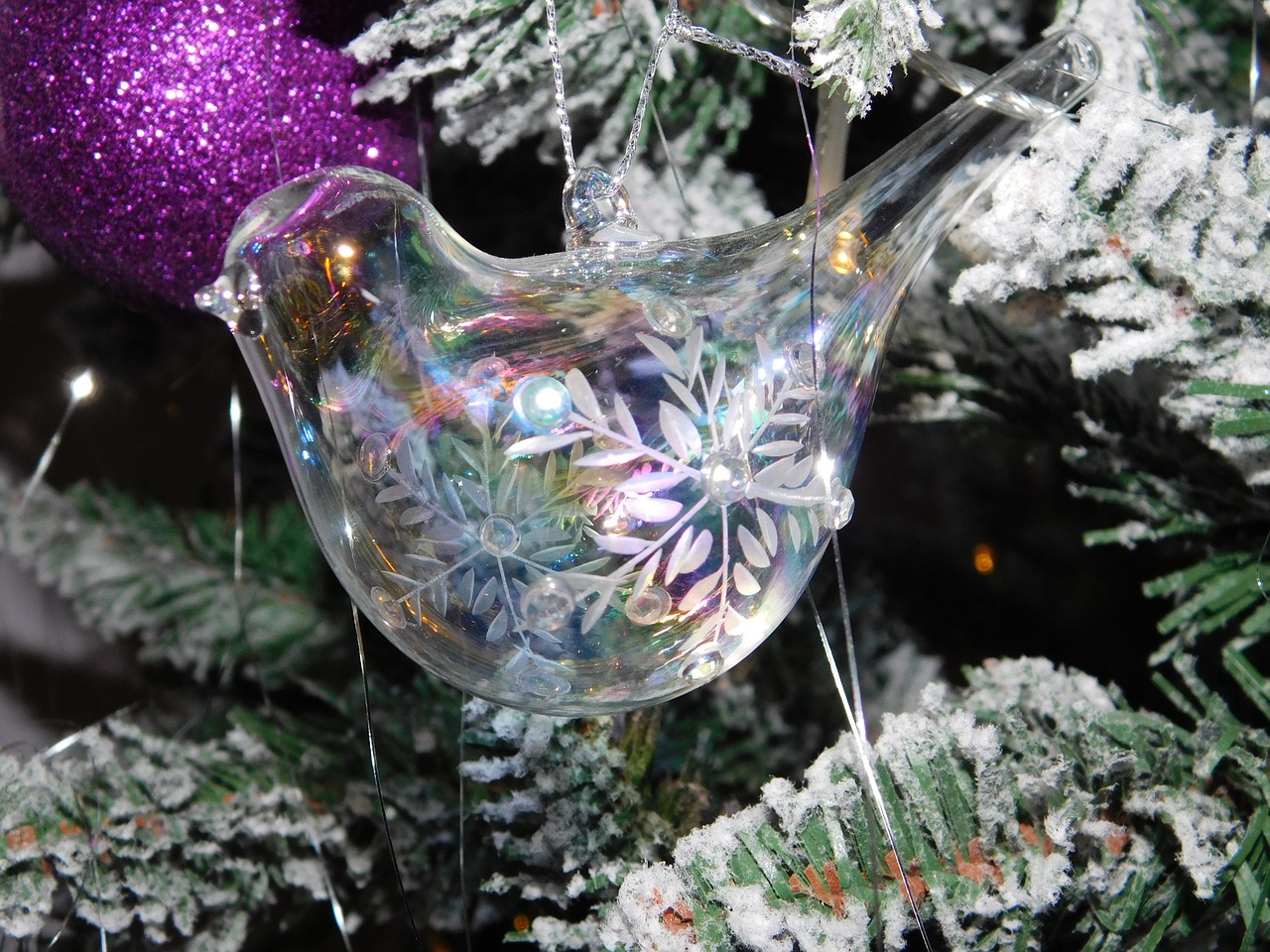 christmas glass bird free photo