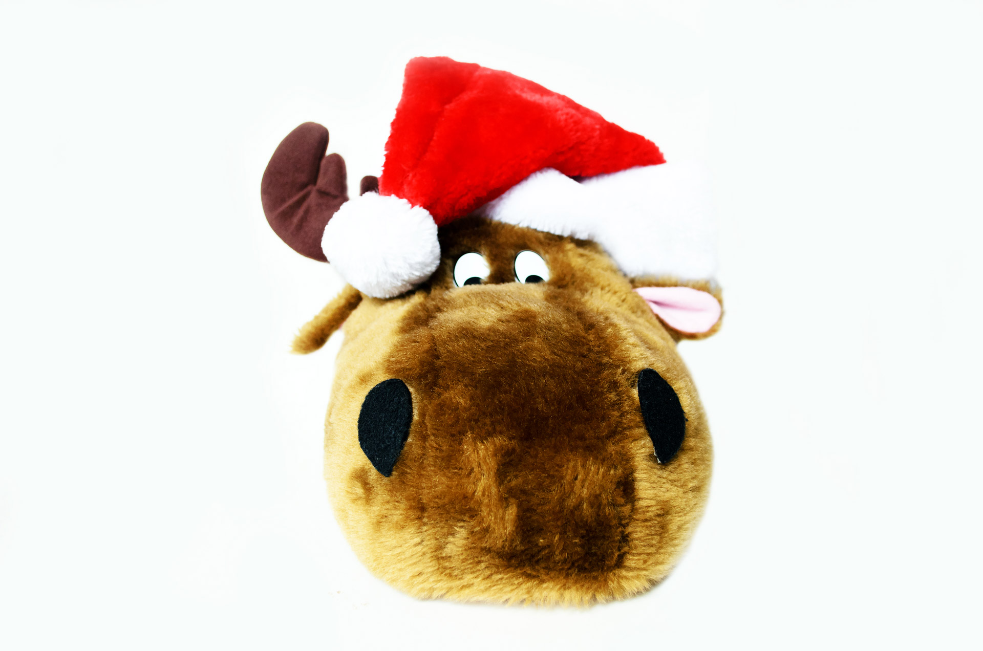 christmas reindeer symbols free photo