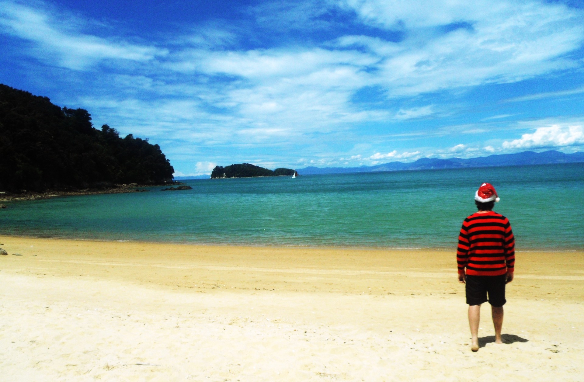 christmas abel tasman beach free photo