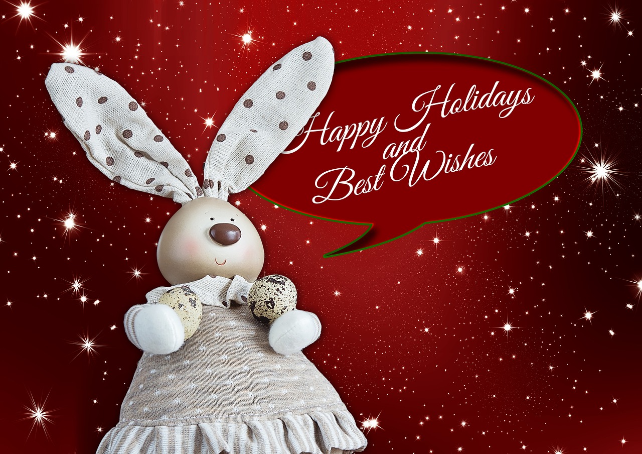 christmas hare holidays free photo