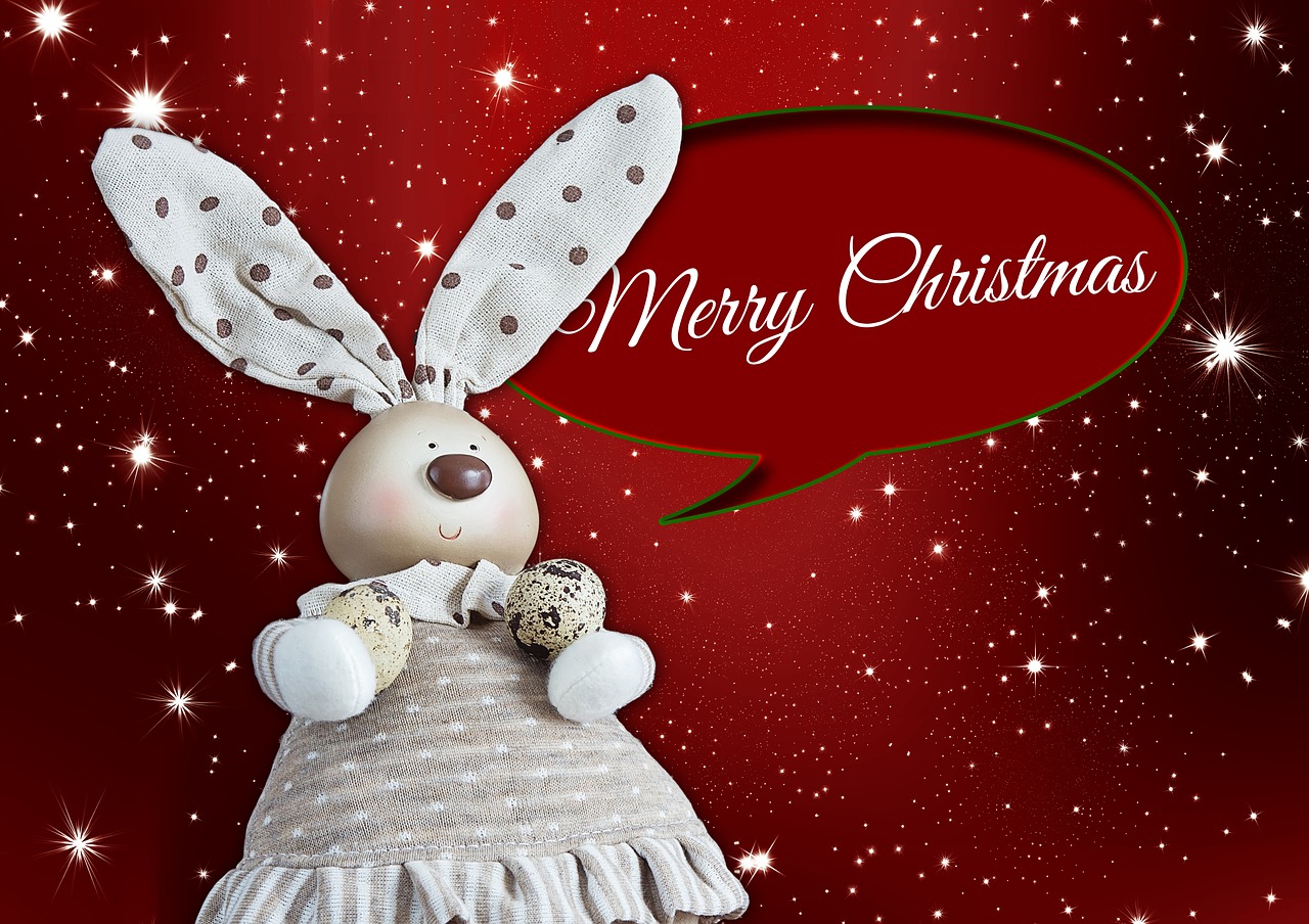 christmas hare holidays free photo