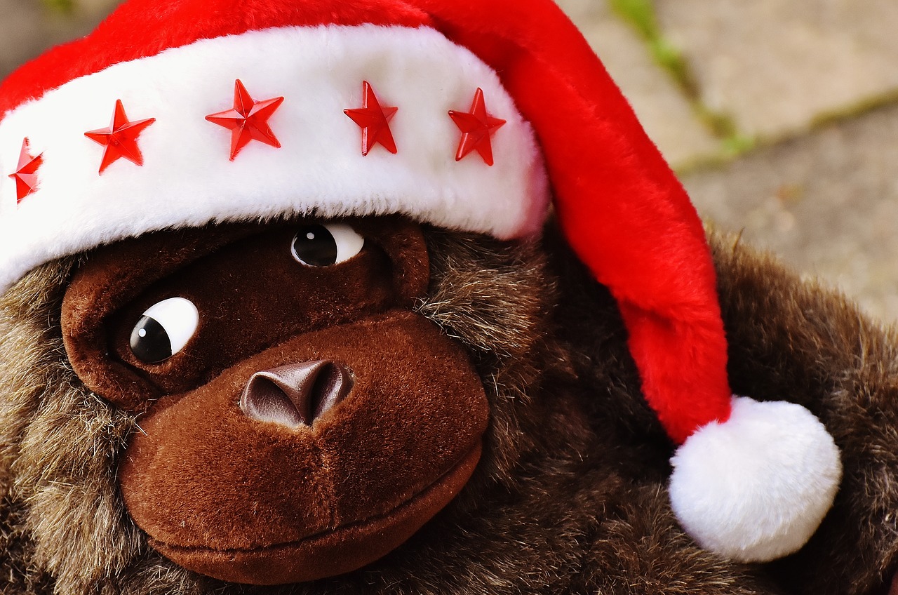 christmas santa hat stuffed animal free photo