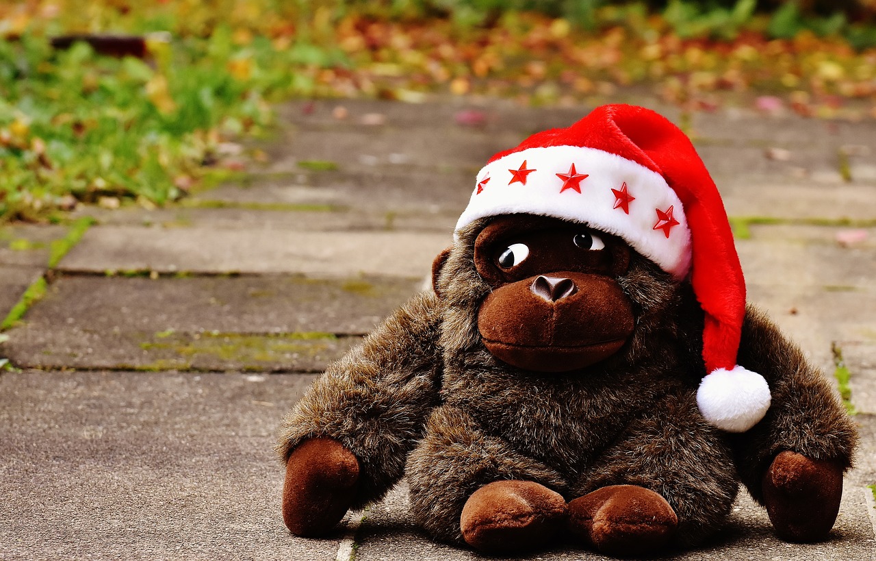 christmas santa hat stuffed animal free photo