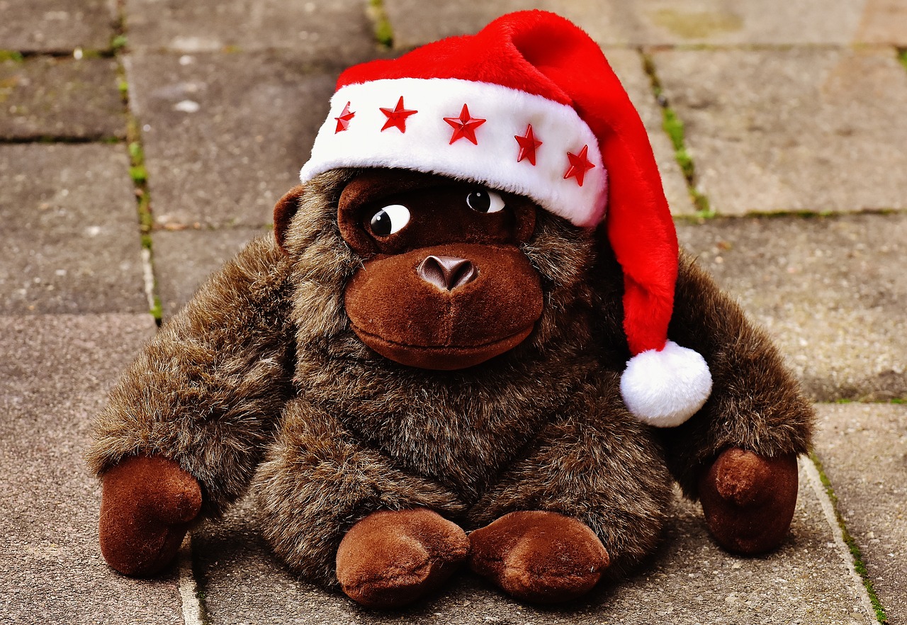 christmas santa hat stuffed animal free photo