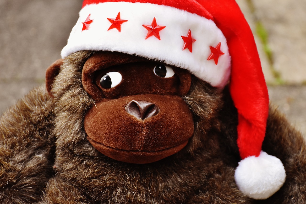 christmas santa hat stuffed animal free photo