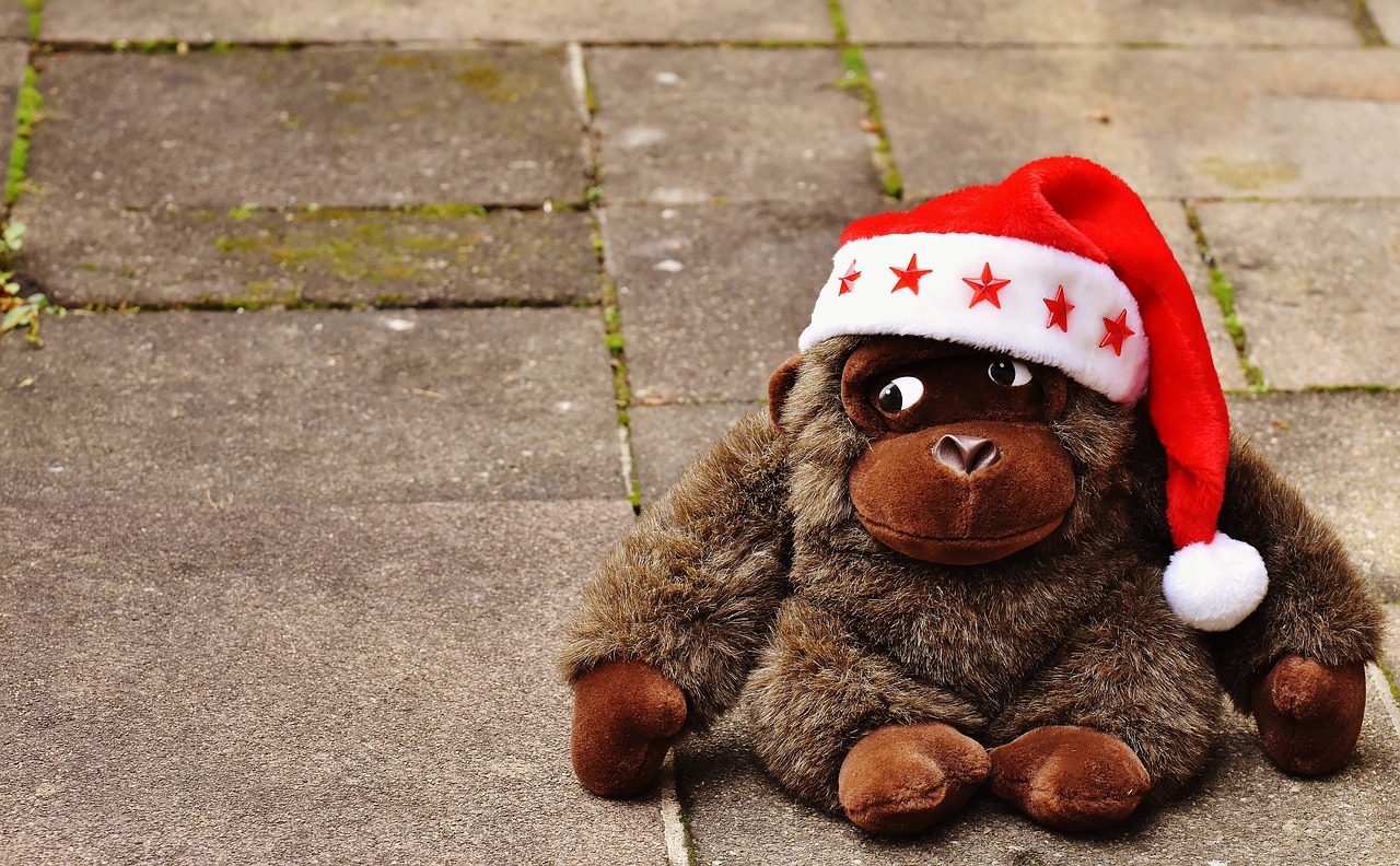 christmas santa hat stuffed animal free photo