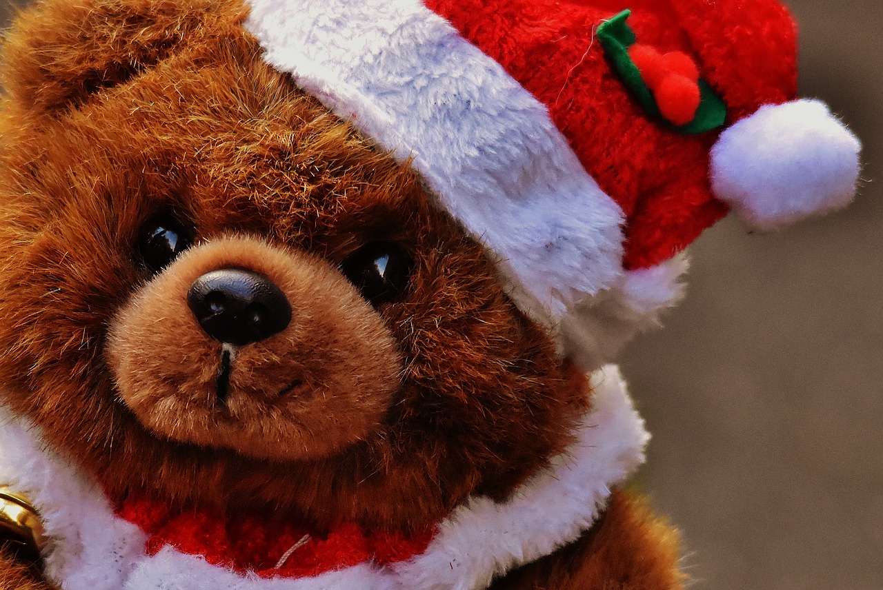 christmas greeting card teddy free photo