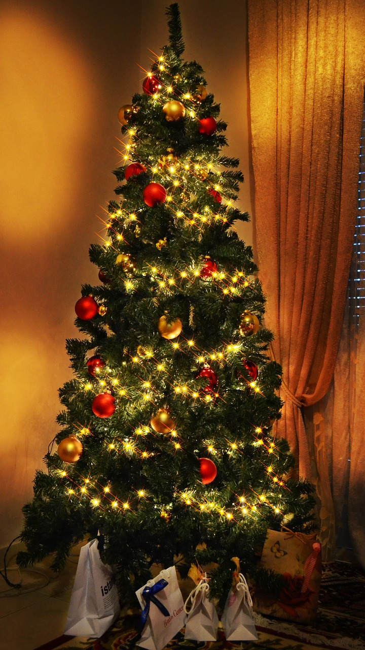 christmas christmas tree lights free photo