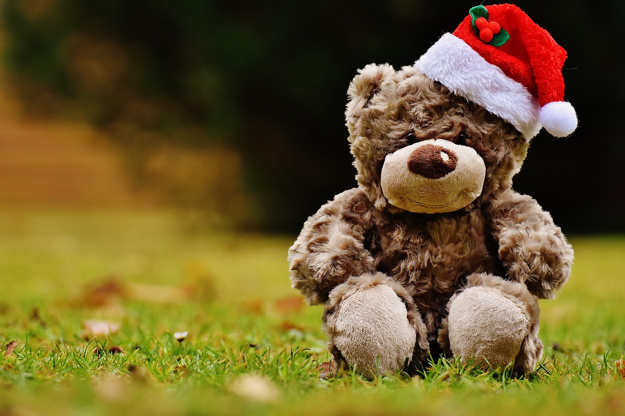 christmas teddy soft toy free photo