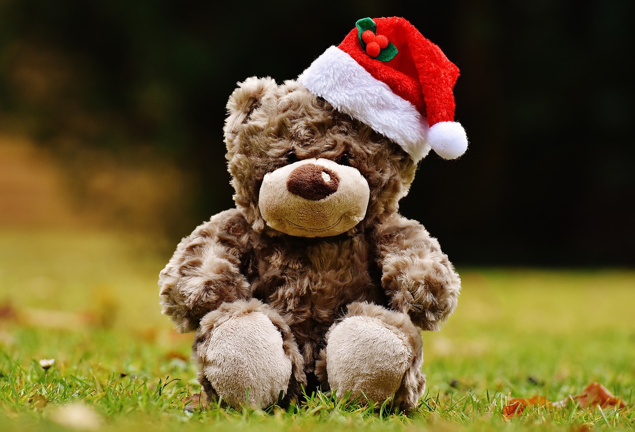 christmas teddy soft toy free photo