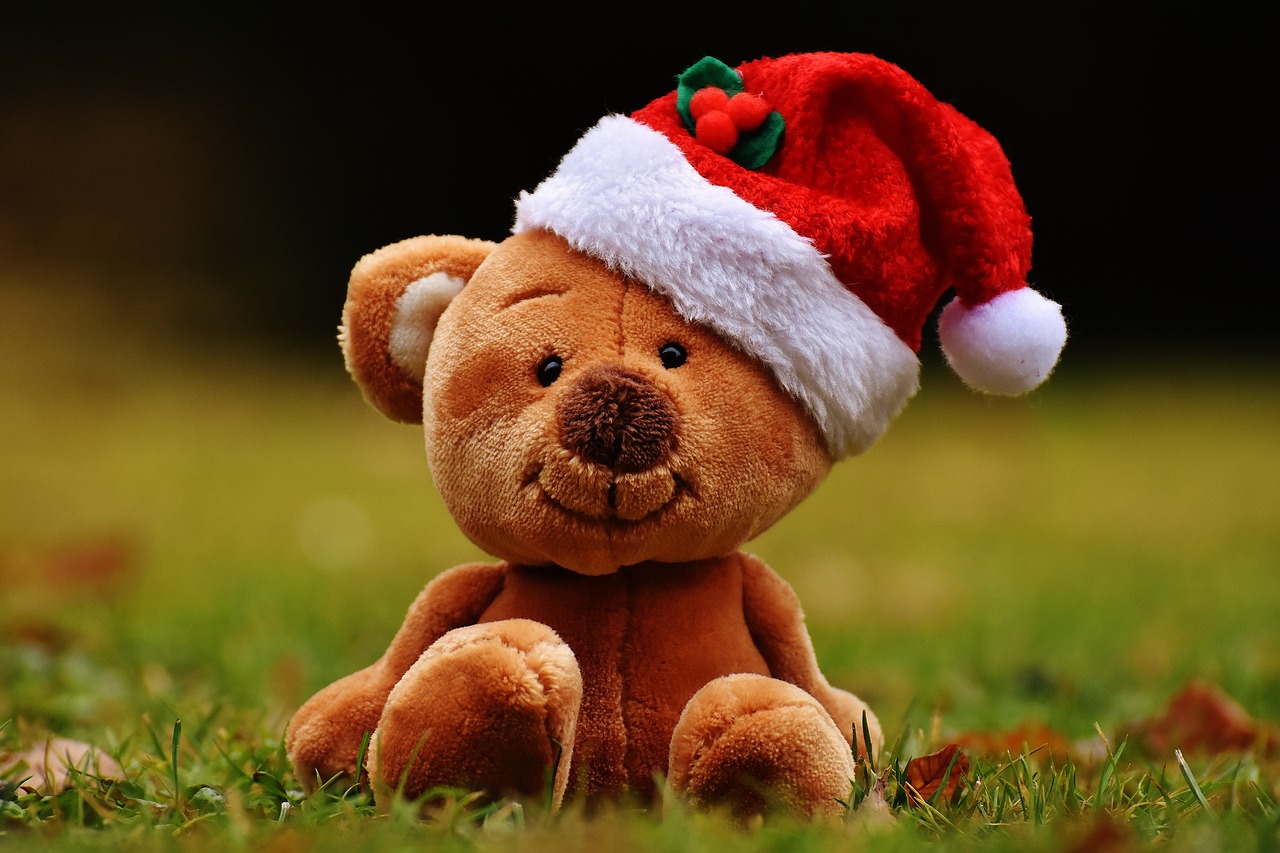 christmas teddy soft toy free photo