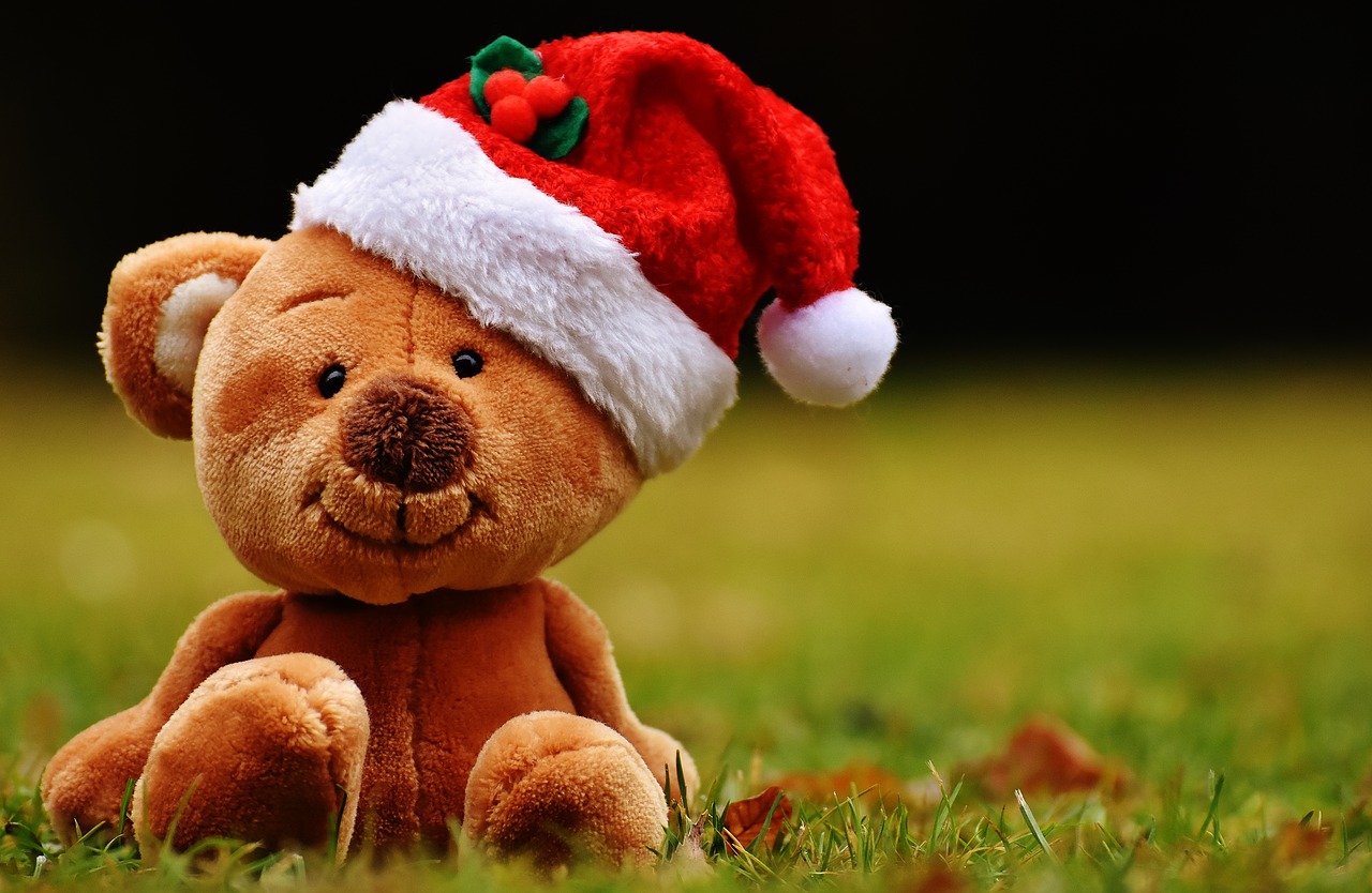 christmas teddy soft toy free photo