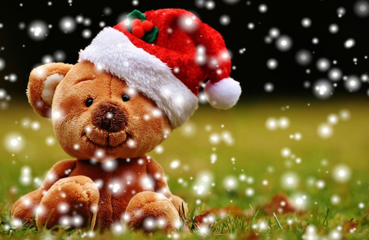 christmas teddy soft toy free photo