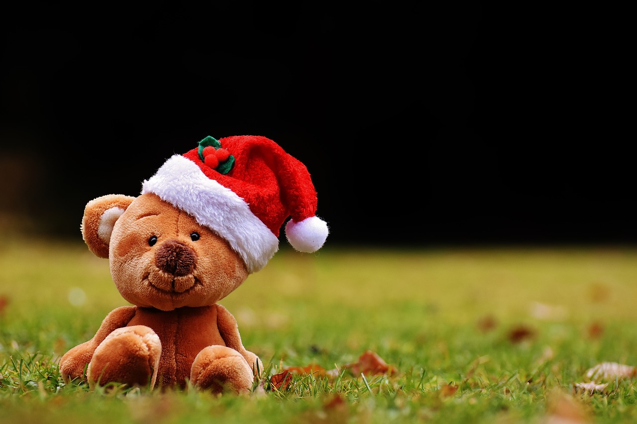 christmas teddy soft toy free photo