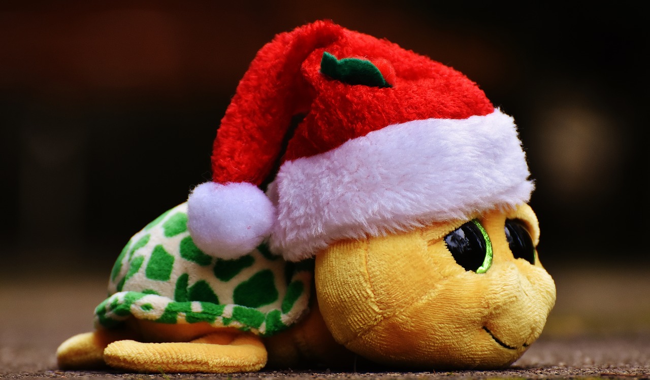 christmas turtle stuffed animal free photo